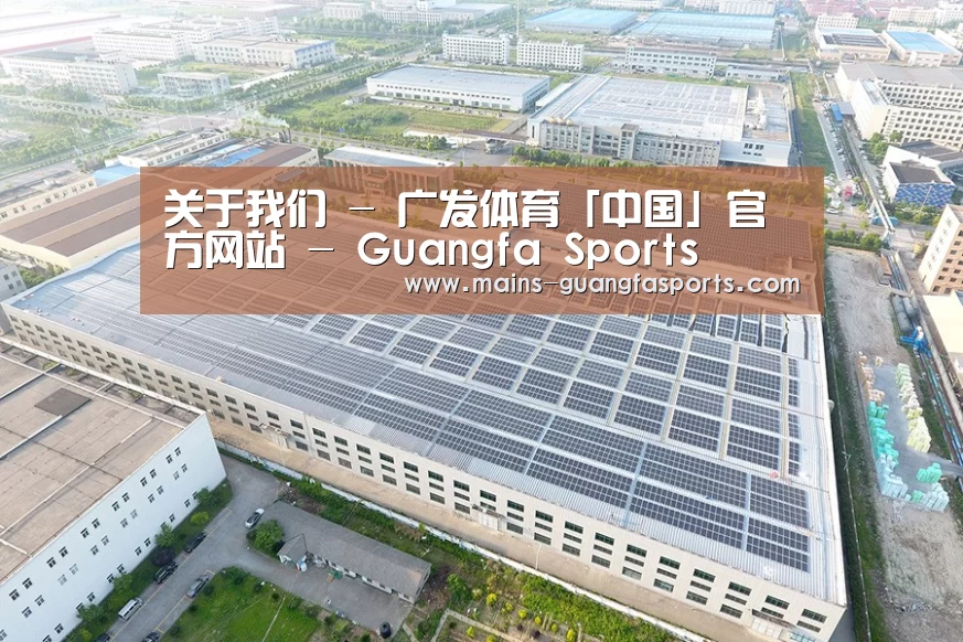 案例展示二