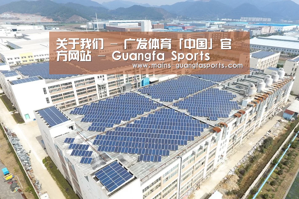 案例展示三