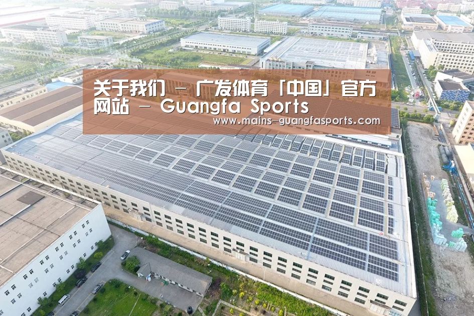 案例展示二