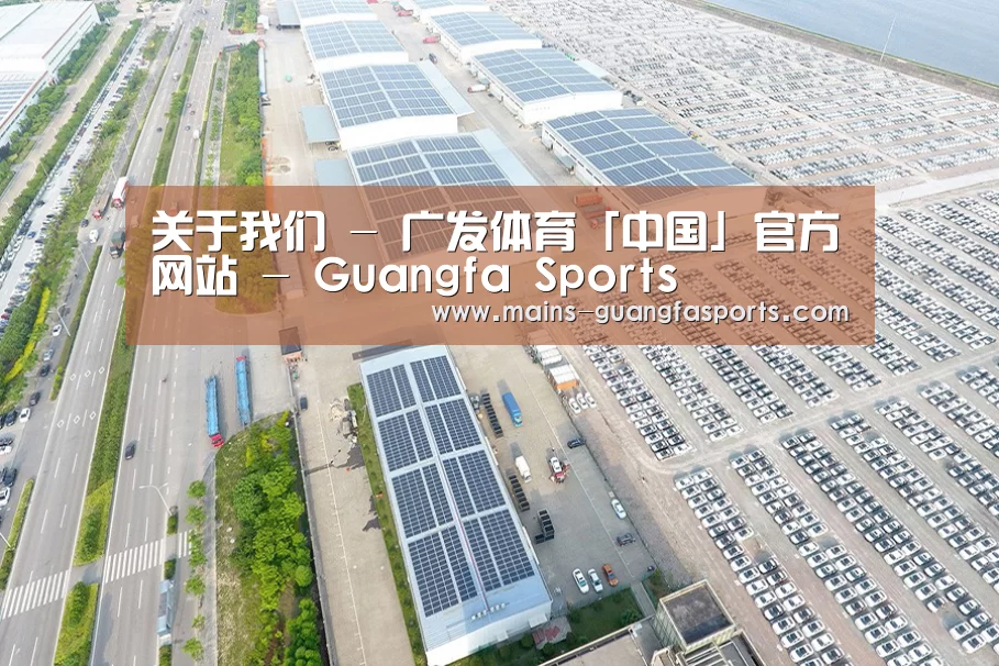 案例展示一