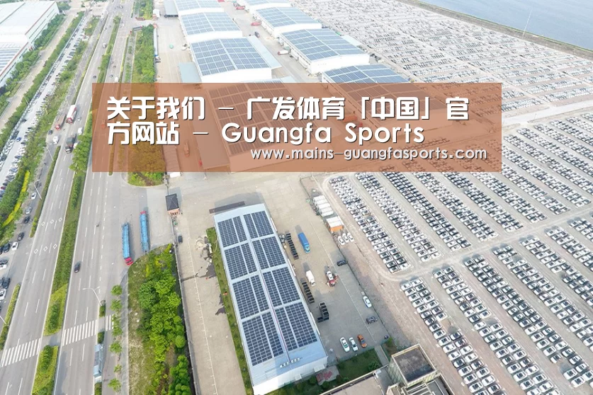 案例展示一