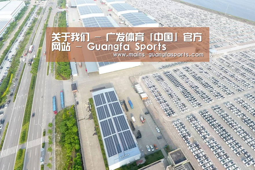 案例展示二