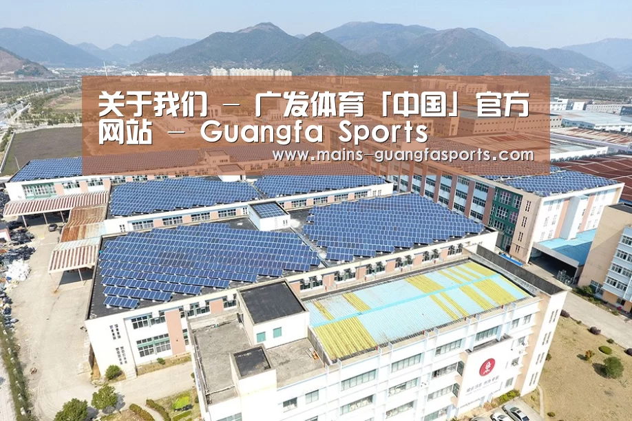 案例展示三