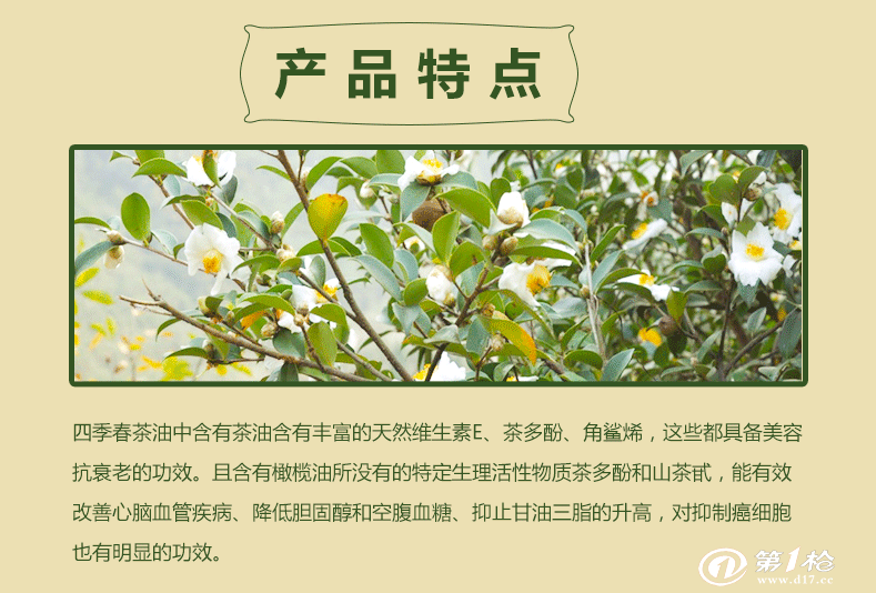 广发(中国)